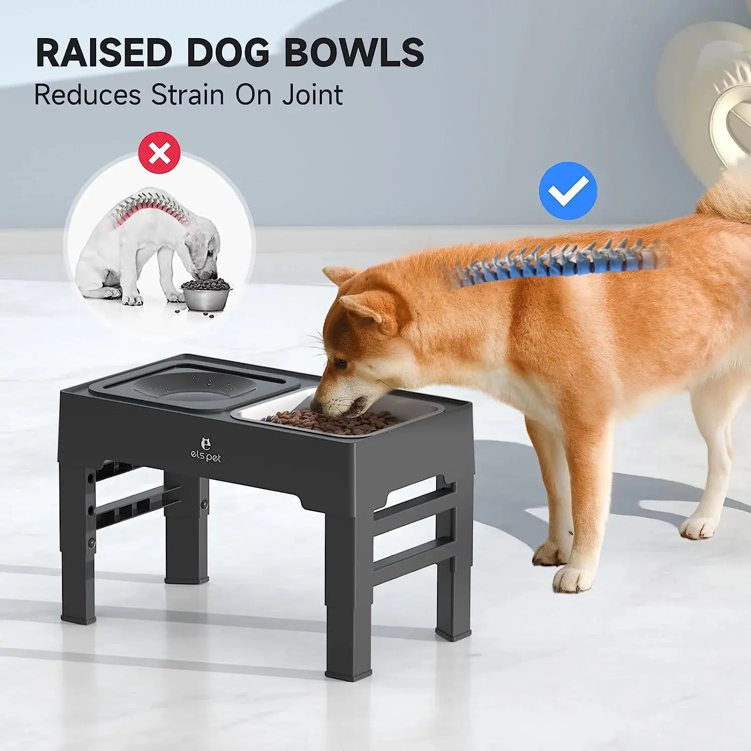 2-in-1 Elevated  Dog Bowls