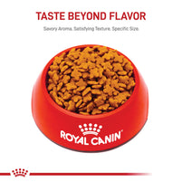 Royal Canin Small Breed Adult Dry Dog Food Pet Chet