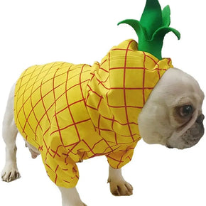 Pineapple Pet Costume, Halloween Pet Dogs Cosplay Coat for Party Christmas Special Events Costume