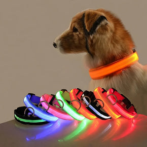 Nylon LED Dog Leash & Collar Set – Glow in the Dark Safety Flashing Fluorescent for Night Walks Petchet