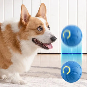 Automatic Moving Dog Toy Ball – Smart USB Rechargeable Jumping & Rotating Interactive Chew Toy for Puppies Petchet